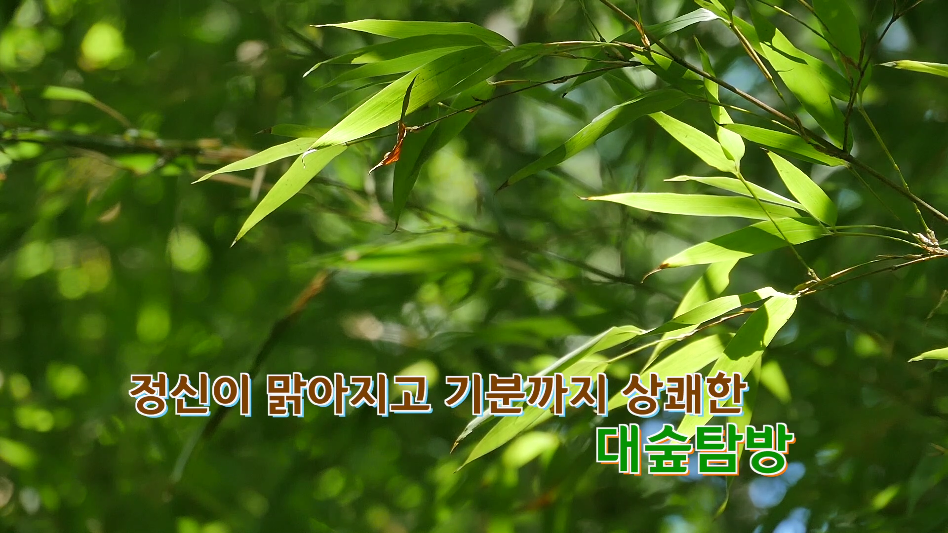 오서산과 오서산자연휴양림